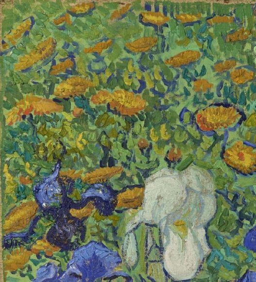 Vincent van Gogh, Irises, 1889-details-01
