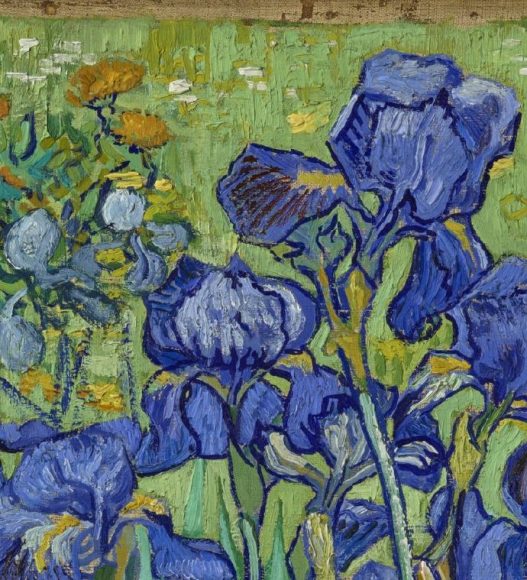 Vincent van Gogh, Irises, 1889-details-03