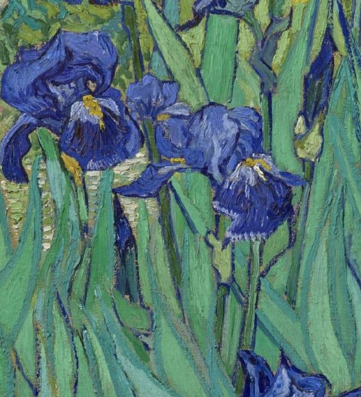 Vincent van Gogh, Irises, 1889-details-05