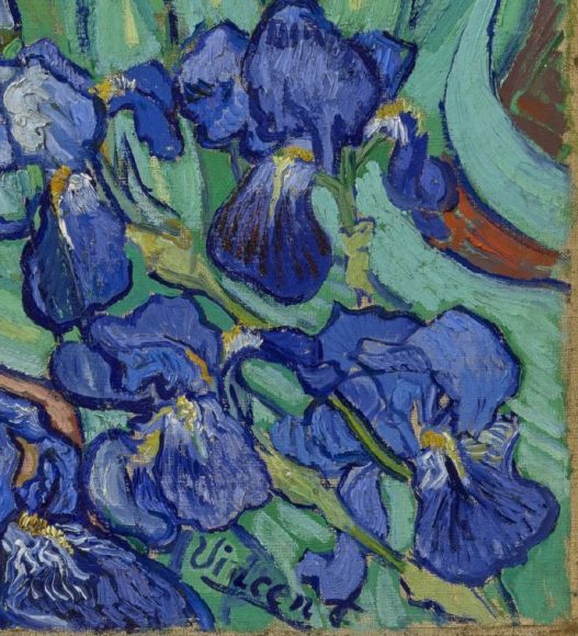 Vincent van Gogh, Irises, 1889-details-12