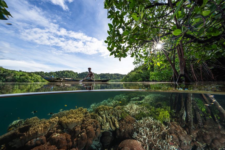 Wendy Mitchell, Indonesia