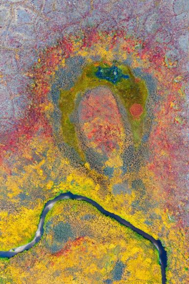 wildlife-10-1364x2048